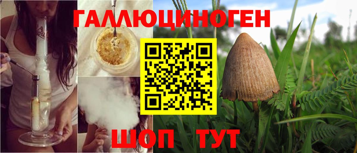 Псилоцибиновые грибы Psilocybine cubensis Ахтубинск