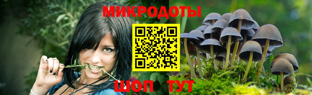 Ахтубинск  Галлюциногенные грибы MAGIC MUSHROOMS  цена наркотик  Вход с VPN 